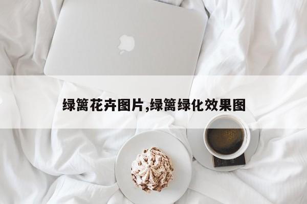 绿篱花卉图片,绿篱绿化效果图