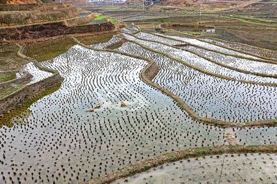 名满天下的花卉图片大全,名满天下的花卉图片大全欣赏