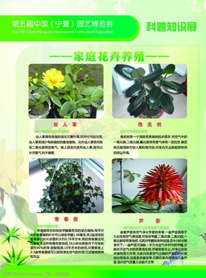 园林花卉简称什么花卉图片,园林花卉大全