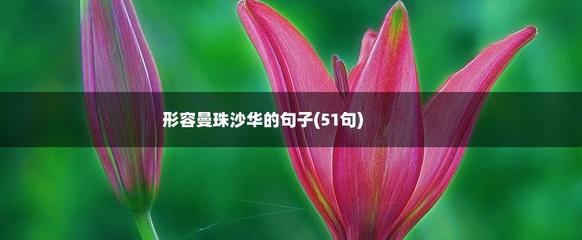 君子花卉图片,君子花长什么样