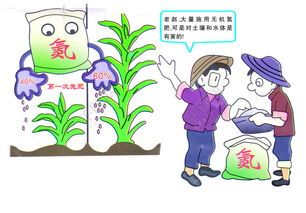 植物施肥图片动画,植物施肥图片动画视频