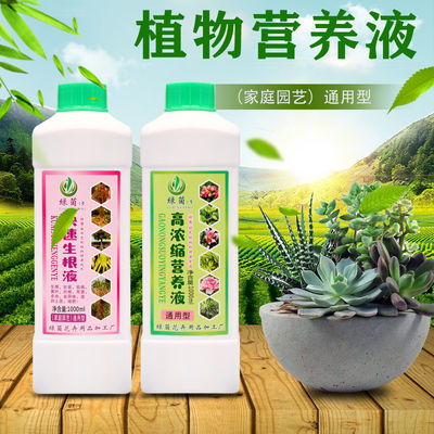 花卉植物施肥,花卉植物肥料