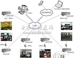 兰花怎样施肥,兰花怎样施肥磷酸二氢钾