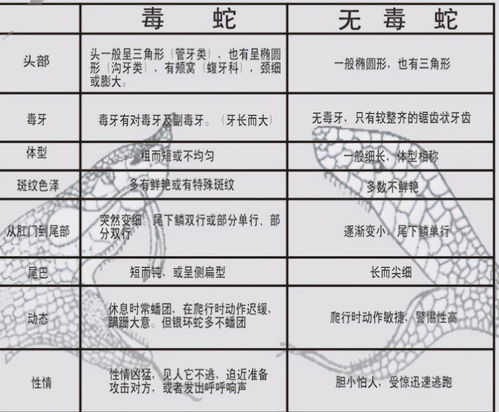 蛇最怕什么东西(蛇最怕什么东西和植物) 20240420更新