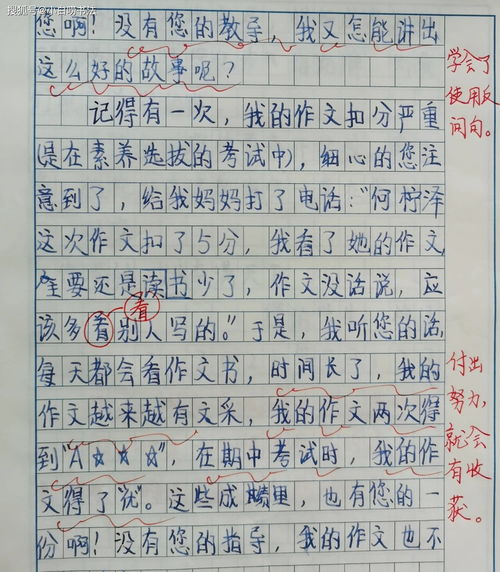 白杨树作文200字(白杨树作文500字优秀) 20240425更新