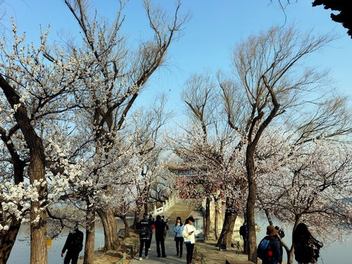 从事园艺师怎么样(园艺师工作怎么样) 20240426更新