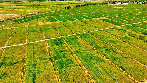 种植基地(种植基地简介怎么写) 20240509更新