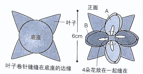 郁金香简笔画的步骤(郁金香简笔画教程) 20240515更新