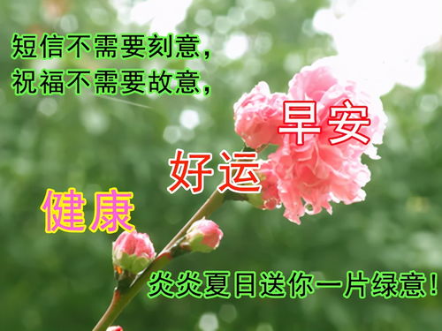 园艺师考试祝福语事业(园艺师考证) 20240524更新