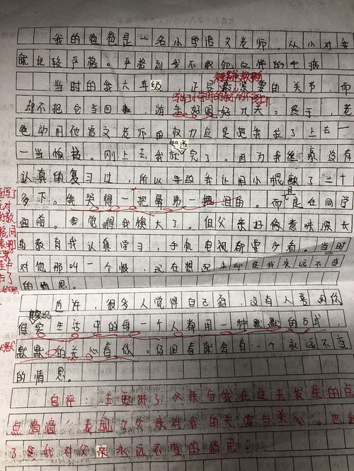 作文仙人掌400字数(作文仙人掌四百字) 20240525更新