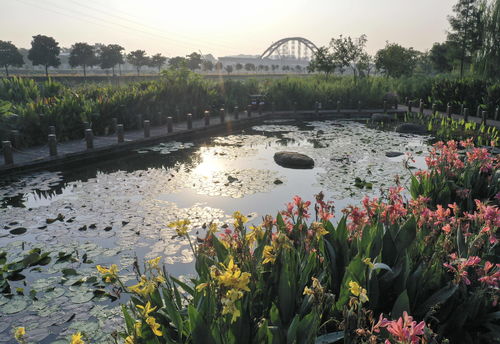 福建省莆田市园艺师怎么考(园艺师资格证报考) 20240531更新