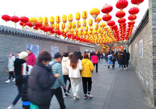 北京朝阳区金盏乡鲜花店(北京朝阳区金盏乡鲜花店地址) 20240621更新