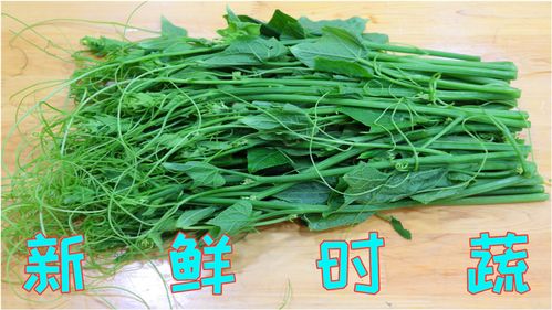 海石花和龙须菜的区别(石花菜和龙须菜是一种菜吗) 20240628更新