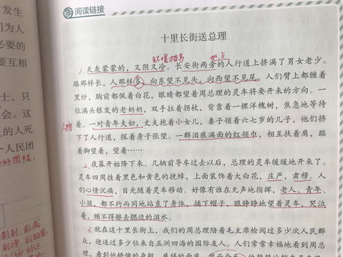 关于假如我是园艺师的作文(如果你是园艺师,你会把花设计成什么) 20240701更新