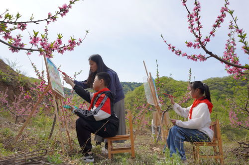 园艺师要学美术吗(园艺师要学美术吗知乎) 20240706更新