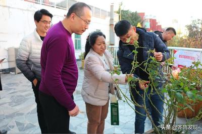 园艺师是专业技术吗(园艺师是职称吗) 20240723更新