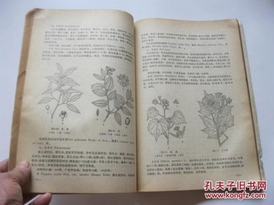 药用植物学论文2000字(药用植物学论文1500字)