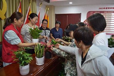 白鹤芋的特点(白鹤芋长什么样子)