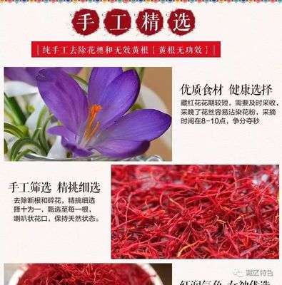 藏红花种植(藏红花种植方法与技巧)