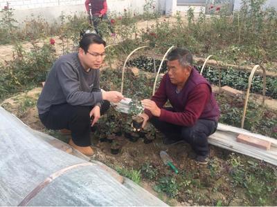 小庄花卉园艺师江苏(小庄花卉园艺师江苏有几个)