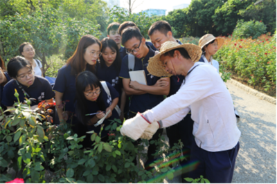 园艺技术总工程师(园艺工高级工)