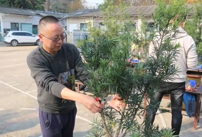 花卉园艺师是什么专业(花卉园艺师课程)