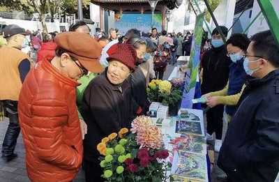 安徽芜湖绿化园艺师培训(芜湖绿园花木工程有限公司)