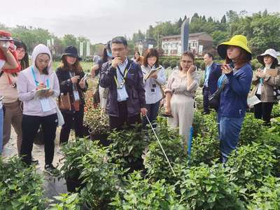 园艺师培训福州哪里好点(哪里有园艺培训班)