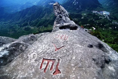 兰草花夏天怎么养(夏季兰草)