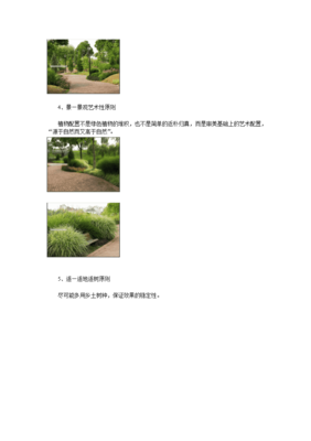 园林景观植物配置分析(园林景观植物配置图手绘)