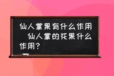 仙人掌果有什么用处(仙人掌果的用处)