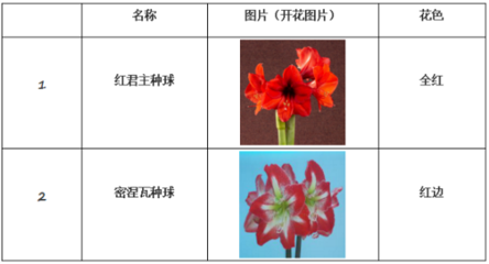 花卉园艺师入职要求怎么写(花卉园艺师是干什么的)