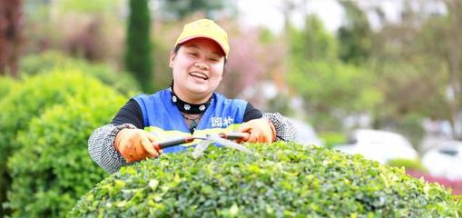 在西安考园艺师证需要多少钱(西安园艺师培训机构)