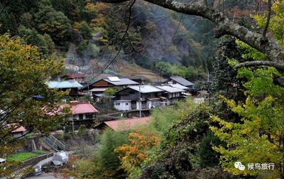 七里香mv取景地(七里香mv在哪里拍摄的)