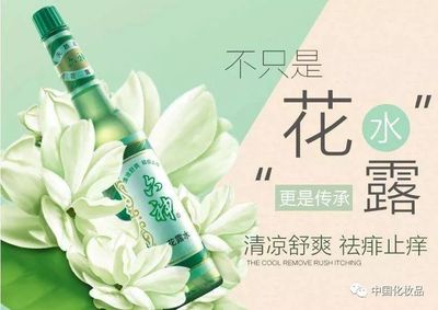 道歉专用花(道歉用的花是什么)