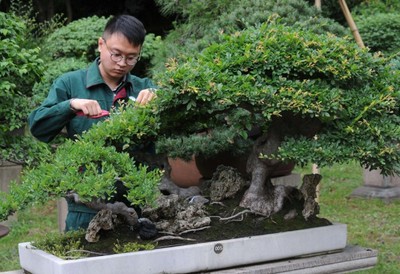 考园艺师证在哪报名(考园艺师证在哪报名啊)