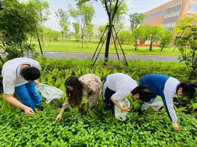 河南如何报考园艺师(考园艺师证在哪里报名)