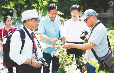 海南花卉园艺师招聘网(海南花卉协会)