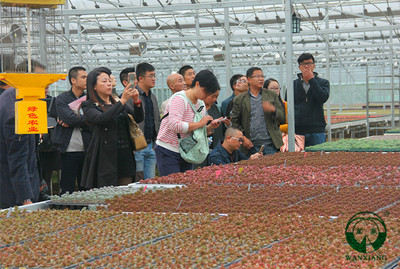 南京园艺师培训学校(南京园艺师资格证在哪报名)