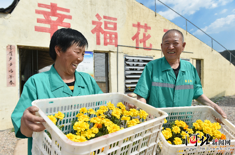 石家庄花卉种植基地(石家庄花卉养殖基地)