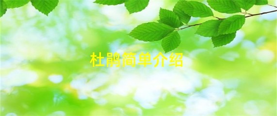 花中西施介绍(花中西施是什么花名?)