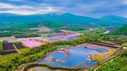 中国的樱花之乡(中国樱花之乡山东)