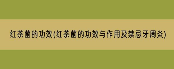 槐米的功效与作用及禁忌(槐米的功效与作用及禁忌症有哪些)