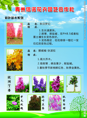 花卉园艺师名片图片(花卉园艺师名片图片高清)