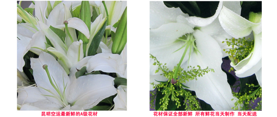 百合花属于什么花材(百合花属于什么类型的花)