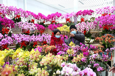 花卉园艺师可以挂靠么的简单介绍