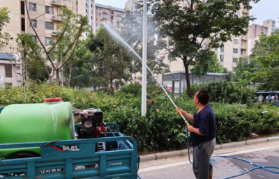 适合墓地的树木品种(墓地适合种什么树木)