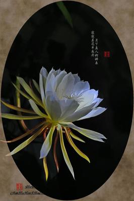 园艺师的工作猜一成语(园艺师的功劳)