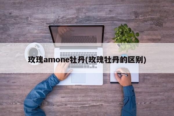 玫瑰amone牡丹(玫瑰牡丹的区别) 20240529更新