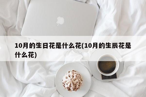 10月的生日花是什么花(10月的生辰花是什么花) 20240711更新